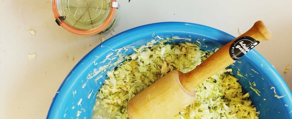 Workshop Gemüse wild fermentieren