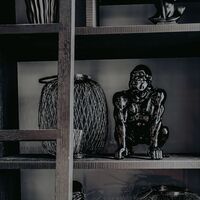 Gallery Foto