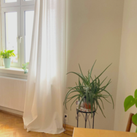 Gallery Foto