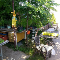 Gallery Foto