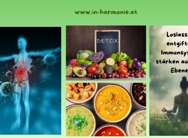 Sanft entgiften, loslassen & Immunsystem stärken auf allen Ebenen