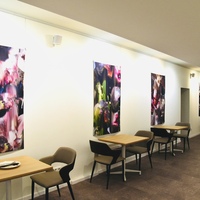 Gallery Foto