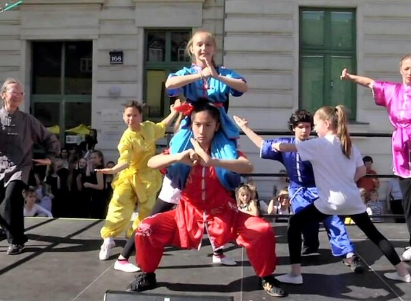 Wushu Academy