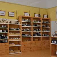 Gallery Foto