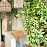 Gallery Foto