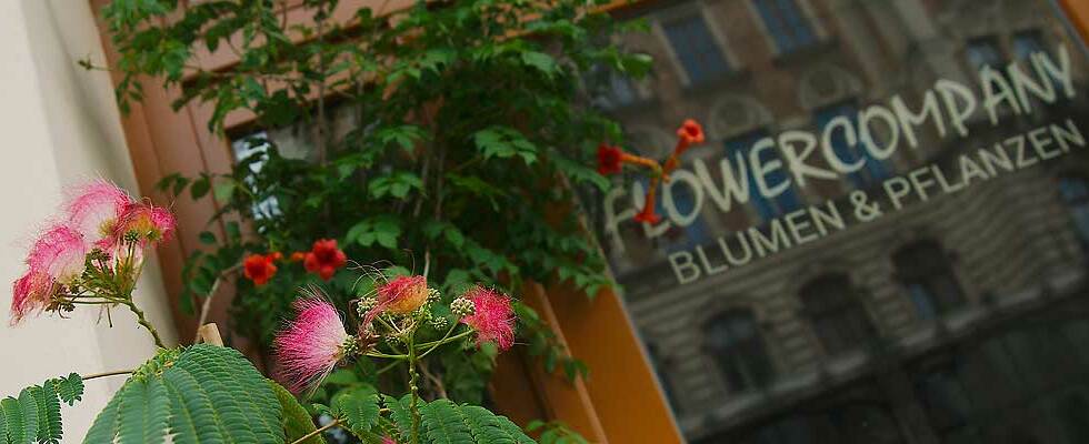 Flowercompany