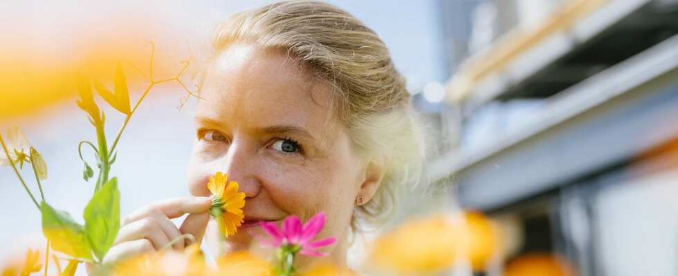 Naturkosmetik-Onlinekurs: Natürlich Schön - Liebeszauber