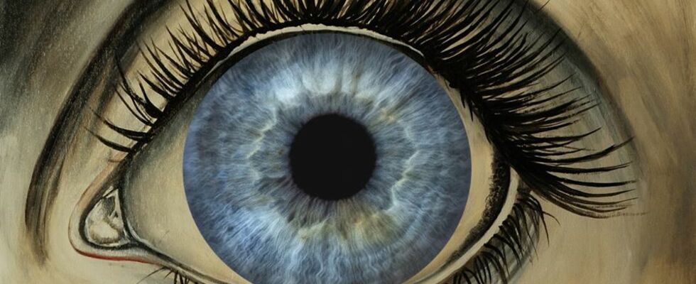 Foto&Art: Kunstwerke gestalten - Schönheit der Augen