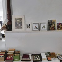 Gallery Foto