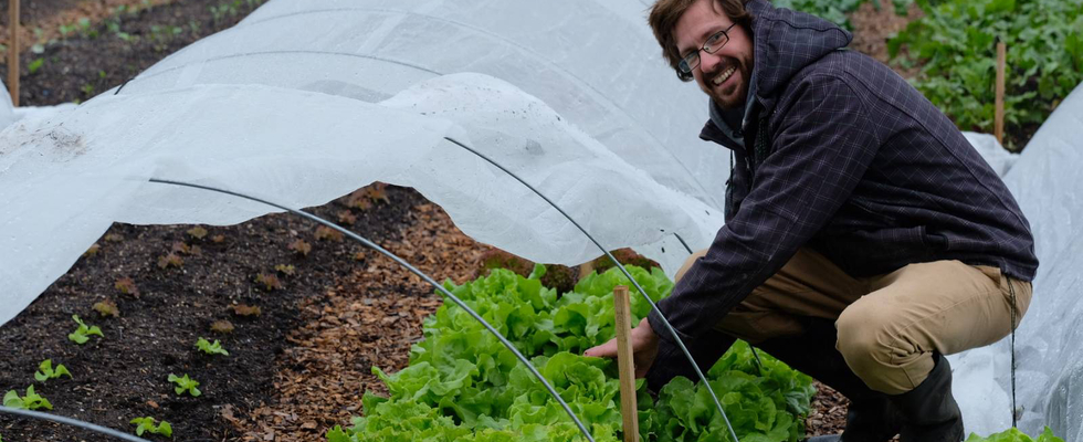 Unterstütze uns beim Ankauf eines Folientunnel für  unser Bio-Gemüseprojekt