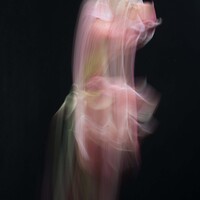 Gallery Foto