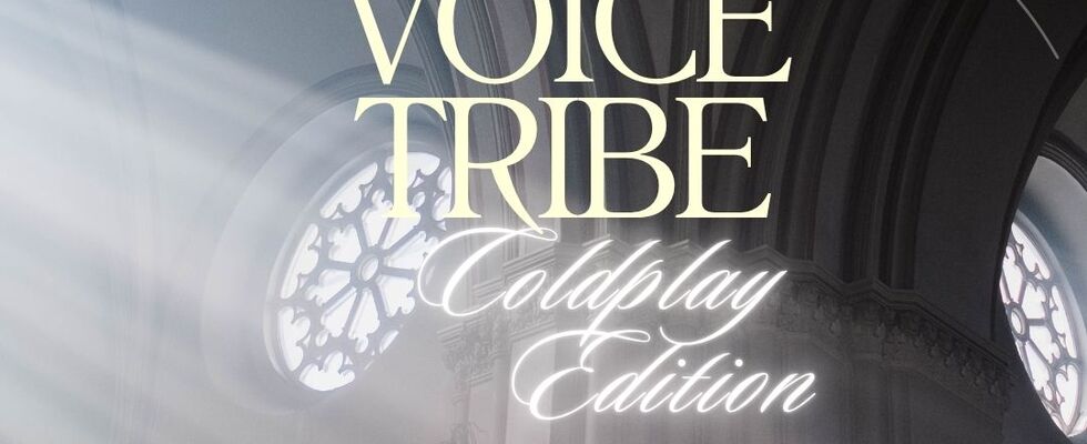 TheVoiceTribe Night - COLDPLAY Edition