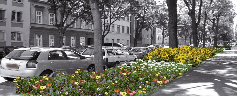 Verein Garten Wolfganggasse