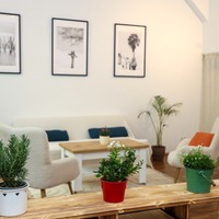 Gallery Foto