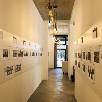 Gallery Foto