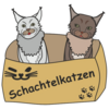 Schachtelkatzen Geschenkideen e.U.