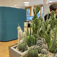 Gallery Foto