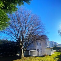 Gallery Foto