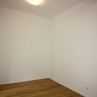Gallery Foto