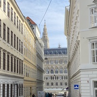 Gallery Foto