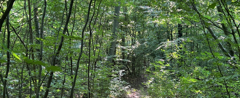 Wienerwaldbaden