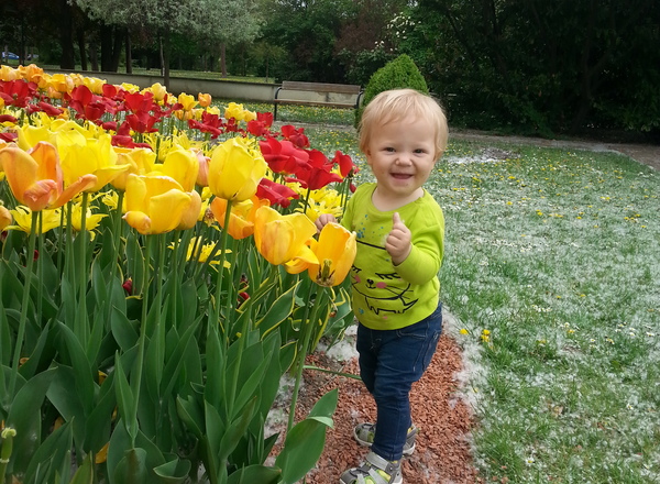 Sing Kling Spring in den Mai (TonTanz x wienxtra)