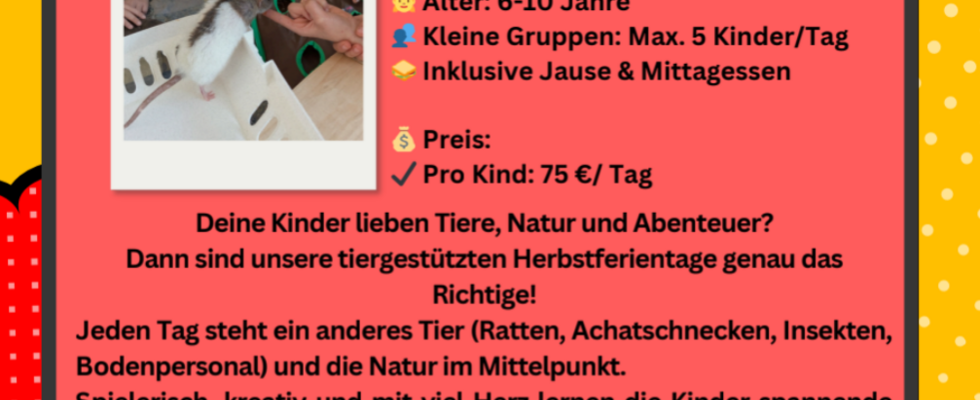 Herbstferien mit tierischen Außenseitern