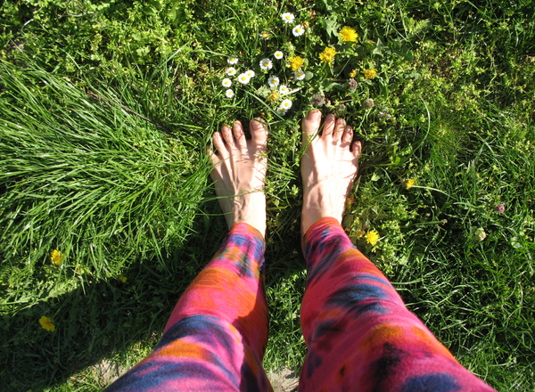 Yoga im Obstgarten