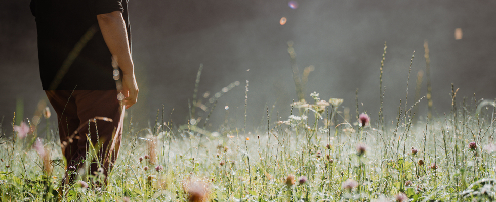 Intuition ist kein Zufall - Feldlese Workshop