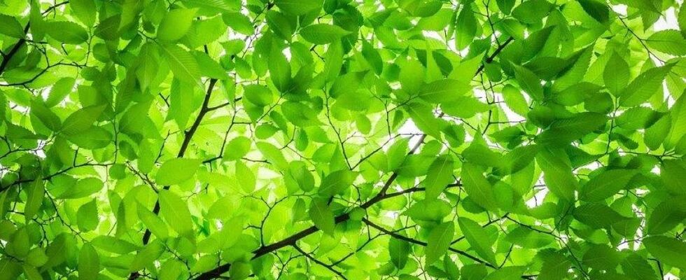 Kriya Workshop - stärke dich für den Winter!