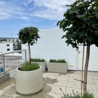 Gallery Foto