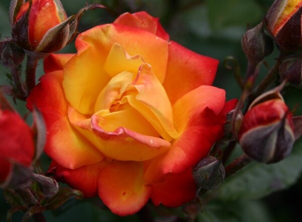 Gute Laune- & Spaß-Lieder