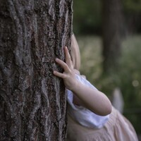 Gallery Foto