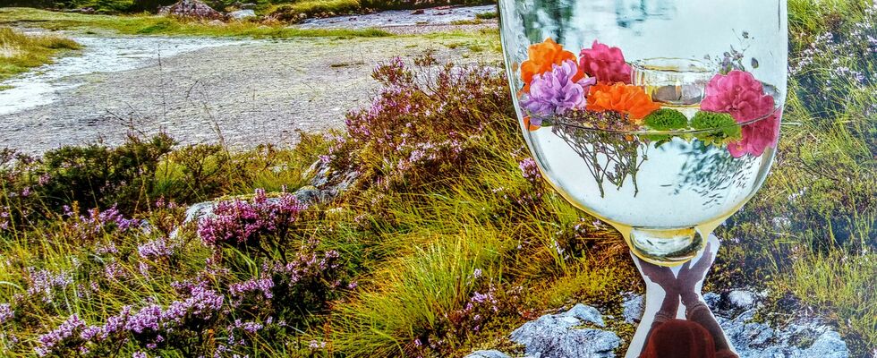 LifeCollage Workshop - Dein Innerer Garten