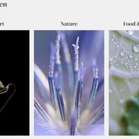 Gallery Foto