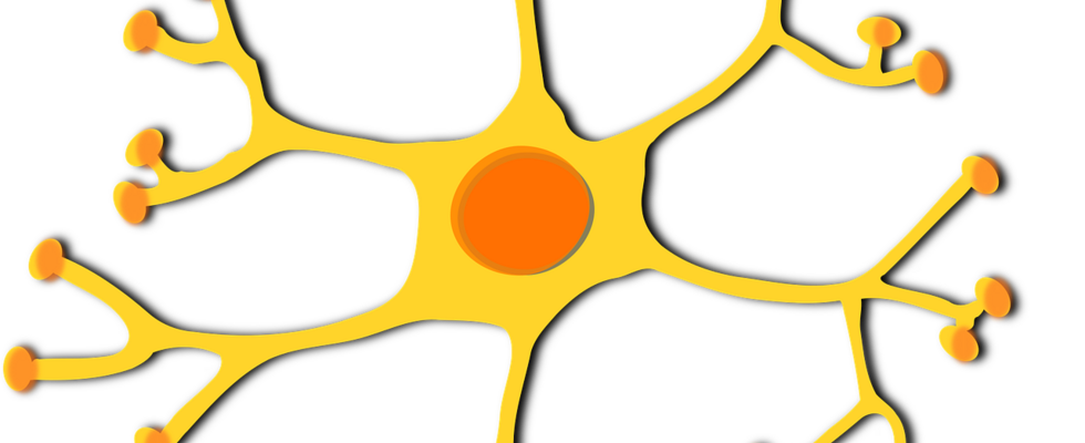 KÜNSTLICHE ODER SINNLICHE INTELLIGENZ?