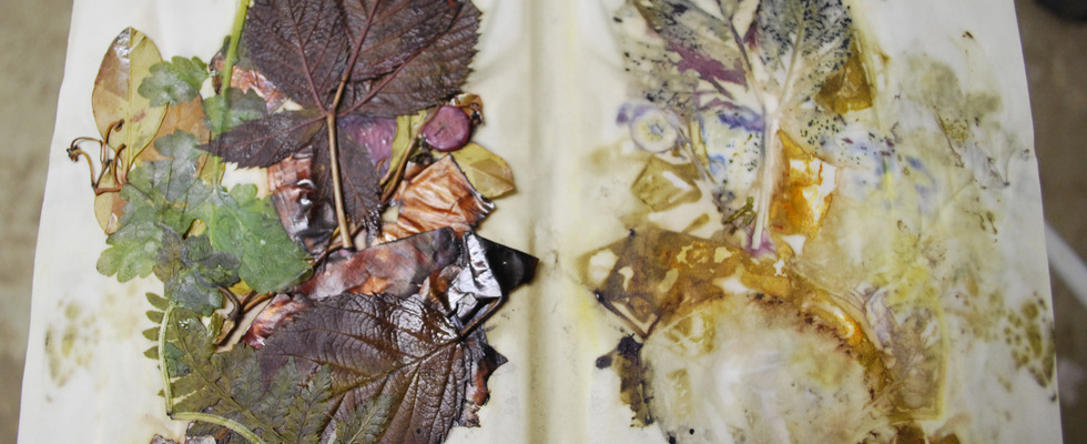 Eco Print, Kräuterpädagogik
