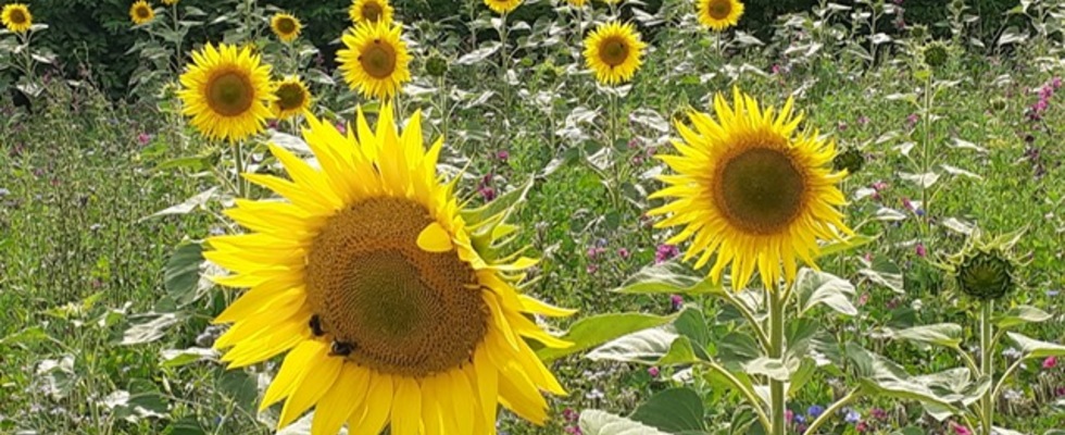 ANMELDUNG NUR NOCH BIS 12.10.2025 MÖGLICH!!!!Lady's Retreat Selbstfürsorge