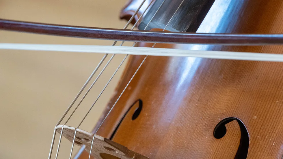 Elisabeth Augsten - Cellistin und Musikpädagogin – Foto 1