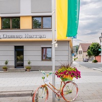Gallery Foto