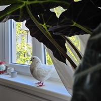 Gallery Foto