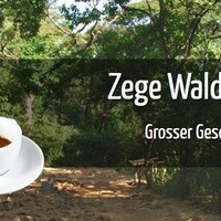 Gallery Foto