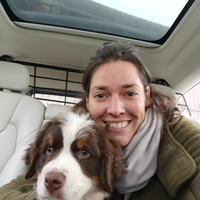 2 Räume zum vermieten (halb-, ganztags)