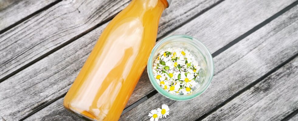 Natural Beauty - Natürliche Pflege für Haut und Haar