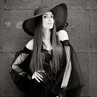 Gallery Foto