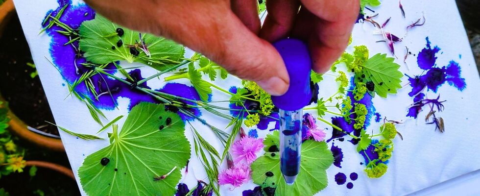 "Paint & Wine" · Malcafé im Garten