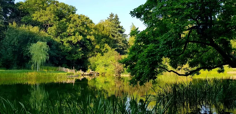 Gedankengänge  -  Spaziergänge – Foto 1