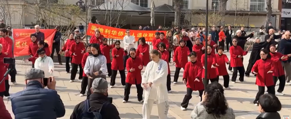 Taiji Quan Einsteigermodul