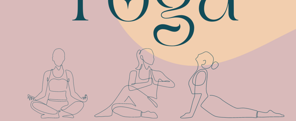 Basiskurs Yoga: Von Fuß bis Kopf