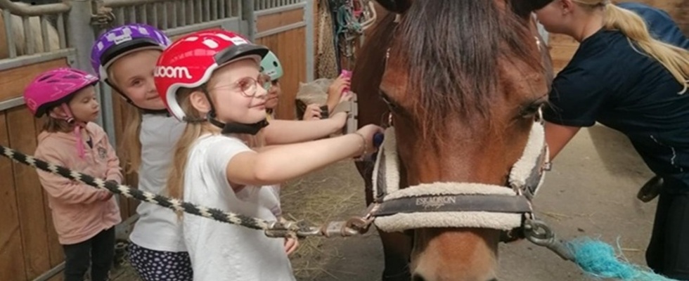 Pony Spaß für Kids von 4 - 10 Jahren